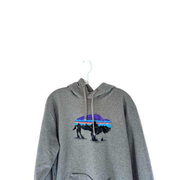 Patagonia women’s Regular Fit Uprisal Buffalo Bison Hoodie Pullover Size Large - Picture 3 of 10